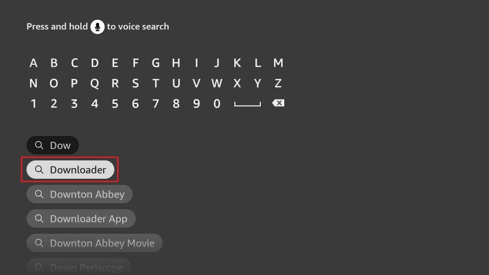 Search and install Downloader app for Storuno IPTV service